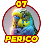 Perico